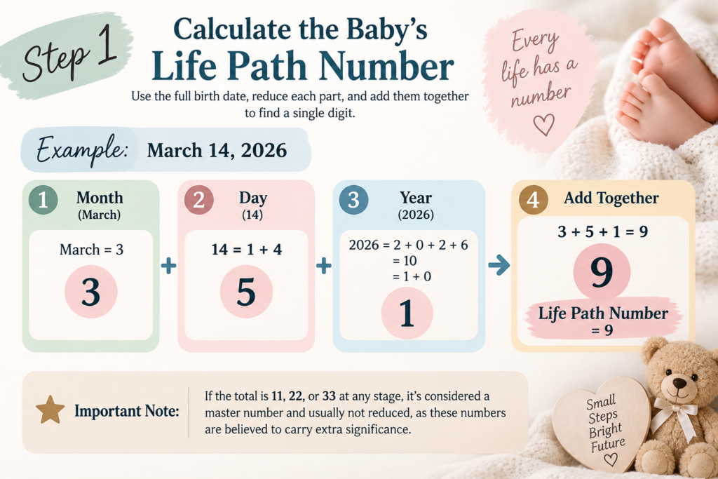 Calculate the Baby's Life Path Number From the Birth Date